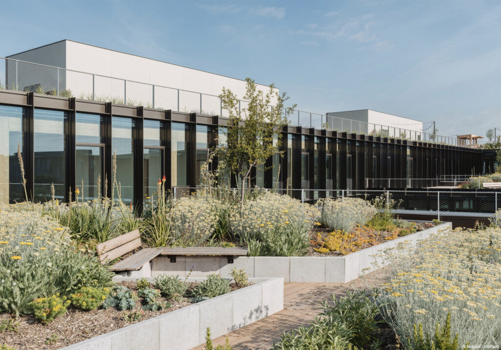 Immeuble de bureaux en structure bois lamellé collé, CLT et béton