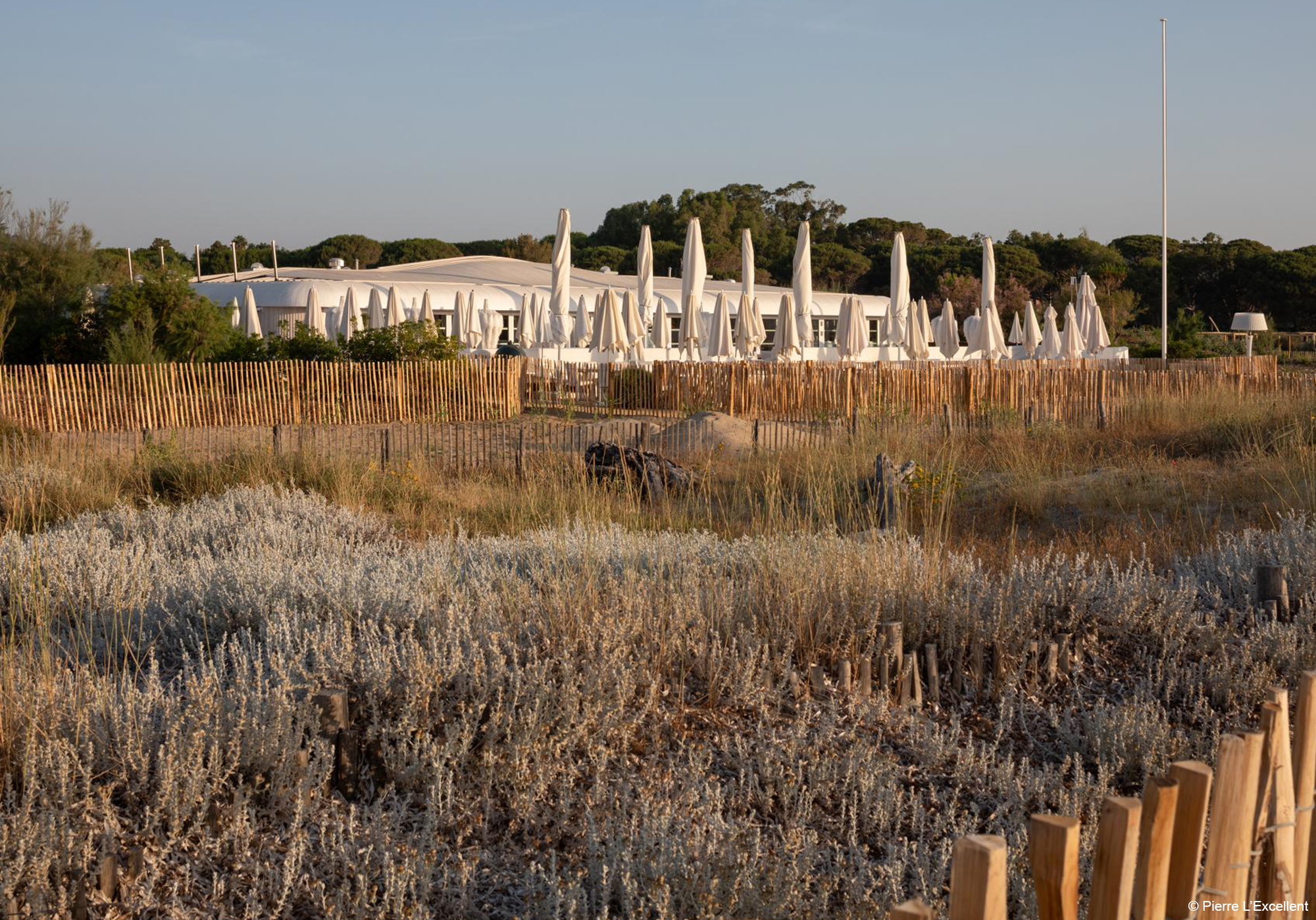 3 Restaurant Les Palmiers by Philippe Madec copyright L Excellent