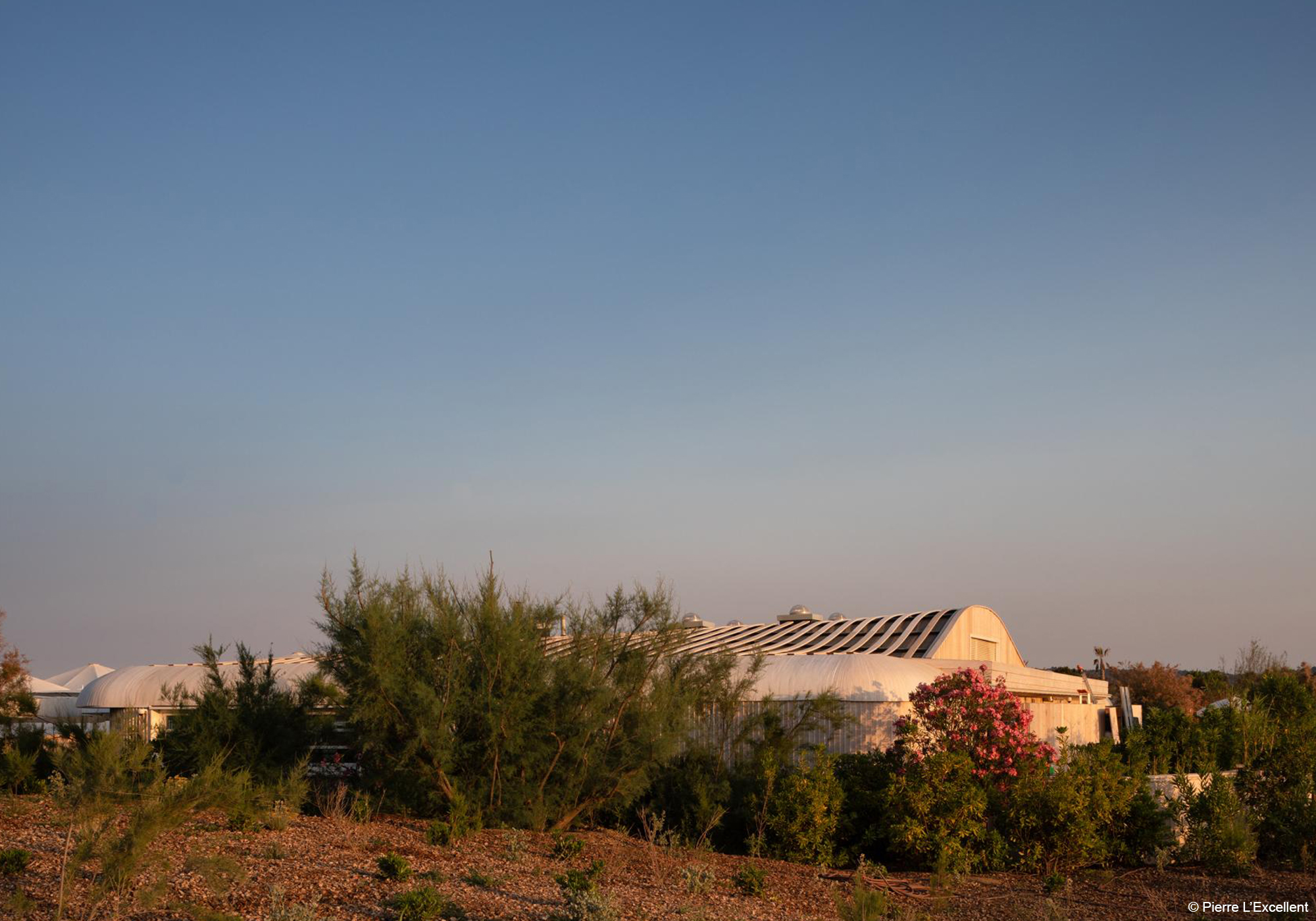 7 Restaurant Les Palmiers by Philippe Madec copyright L Excellent
