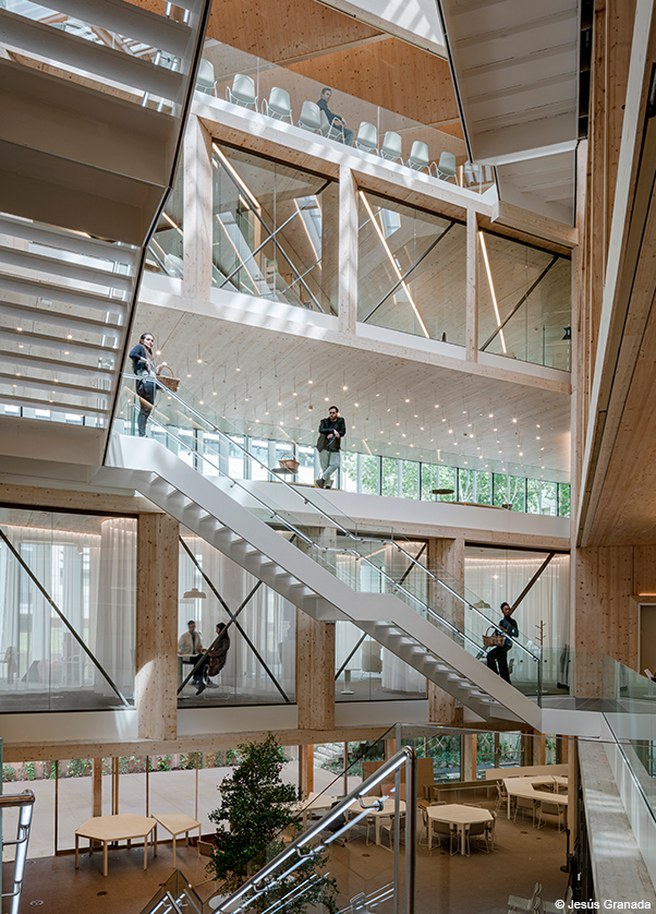 Bibliothèque en bois lamellé collé et CLT
